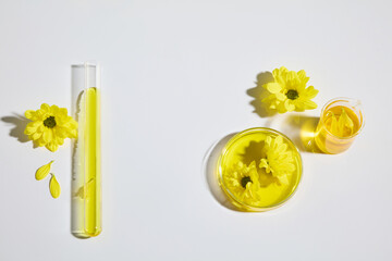 Advertising photo of minimalist style with calendula as the main composition and some experimental...