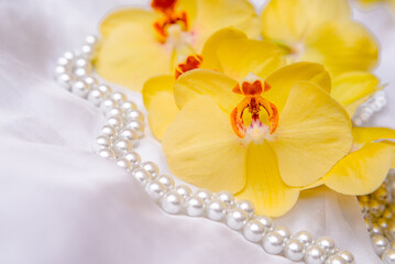 The branch of yellow orchids on white fabric background
