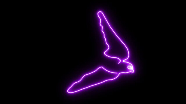 Self drawing animation one continuous line draw, logo,  flying bird,  swallow , neon purple luminous sign