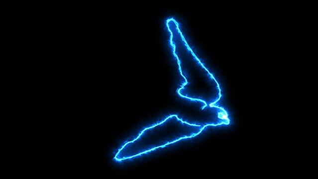 Self drawing animation one continuous line draw, logo,  flying swallow bird, Blazing  blue flame, energy