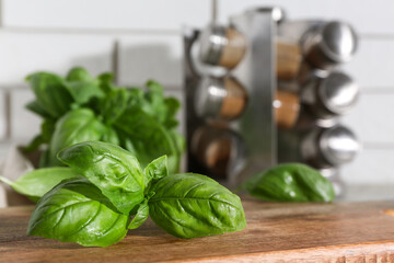Wooden board with fresh green basil leaves on table, closeup