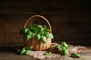 Wicker basket with fresh green basil leaves on wooden background