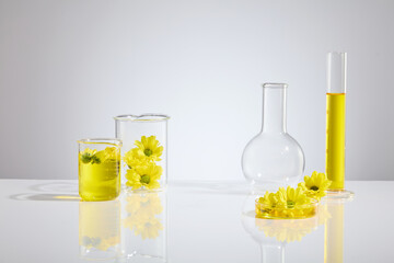 Laboratory and calendula theme photo, glassware of experiment placed on white flat form, decorated...