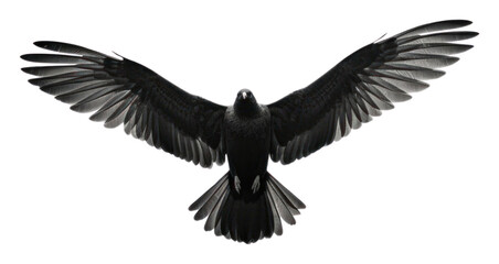 PNG Bird flying in the sky animal black white. AI generated Image by rawpixel.