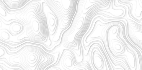 Abstract white paper cut background with line. 3d topography relief. Vector topographic illustration. realistic papercut decoration textured with wavy layer and shadow. seamless pattern wave design.