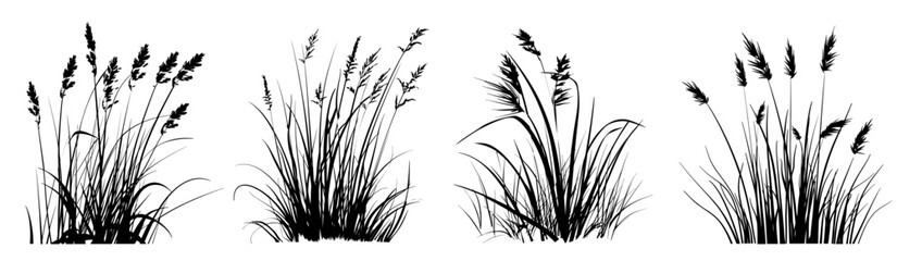 grass silhouette vector on isolate background