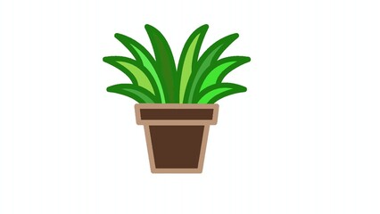 plant in a pot