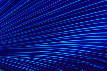 colorful abstract futuristic background with bright lines and rows for design and concetp , natural leaf texture in various colors