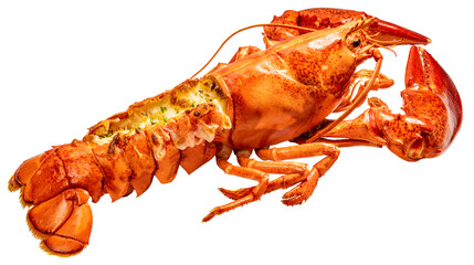 Steam Lobster on white background, Cook Canadian Lobster isolate on white with clipping path.