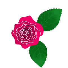 Red roses illustration