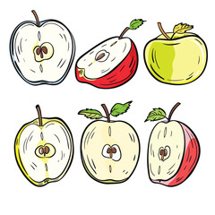Handdrawn apples cut half showcase seeds varying colors. Cartoony style depicts red, yellow, green apples, half whole. Healthy fruit, fresh produce theme, colorful apple illustration