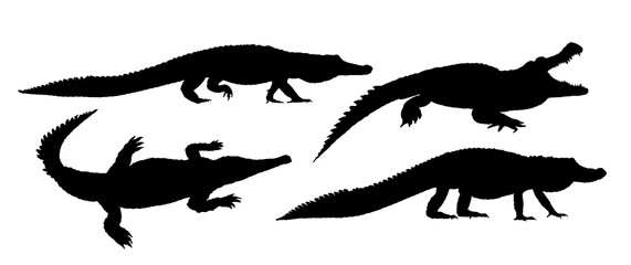 Set silhouettes of large crocodiles.
