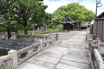 A Japanese temple in Kyoto : a scene of the precincts of To-ji Temple
