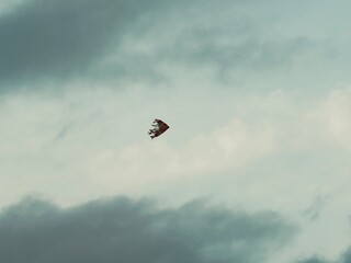 paraglider flying in the sky