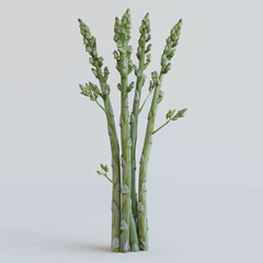 Bunch of green asparagus isolated on white background. 3d illustration