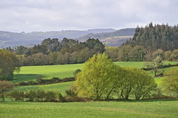 Obraz premium Colline, prati e vallate del cammino Primitivo di Santiago di Compostela - Guntín. Lugo. Galicia - Spagna