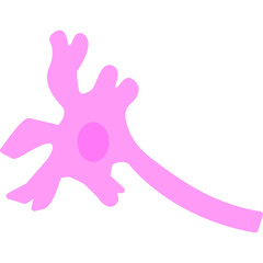 Neuron Icon