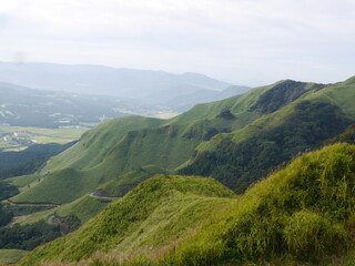 Fototapeta premium 新緑の山