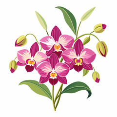 Orchid flowers with branch Vector  illustration 