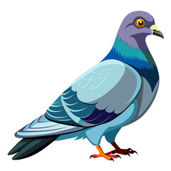 Pigeon isolated on white background. Vector illustration in a flat style.