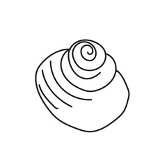 sea, vector, shell, ocean, outline, underwater, shellfish, water, design, illustration, isolated, marine, seashell, beach, seafood, scallop, aquatic, animal, nature, line, summer, graphic, drawing