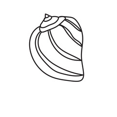 sea, vector, shell, ocean, outline, underwater, shellfish, water, design, illustration, isolated, marine, seashell, beach, seafood, scallop, aquatic, animal, nature, line, summer, graphic, drawing