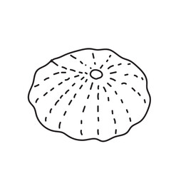 sea, vector, shell, ocean, outline, underwater, shellfish, water, design, illustration, isolated, marine, seashell, beach, seafood, scallop, aquatic, animal, nature, line, summer, graphic, drawing