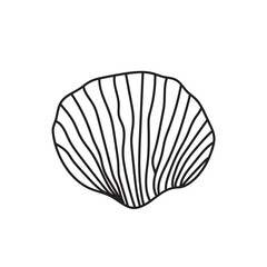 sea, vector, shell, ocean, outline, underwater, shellfish, water, design, illustration, isolated, marine, seashell, beach, seafood, scallop, aquatic, animal, nature, line, summer, graphic, drawing