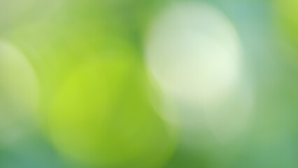 Green foliage of the forest. Defocused blur texture of tree with sun light leaks between leaf and...