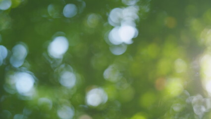 Nature green bokeh. Beautiful blurry green nature background. Sunlight shining through the leaves of trees. Blur.