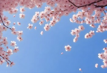 Fantasy a pattern of delicate cherry blossom petal (2)