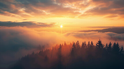 Obraz premium Majestic sunset over a forest shrouded in mist