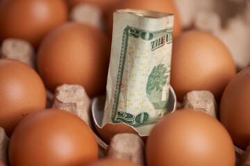 Economic crisis concept showcasing a cracked egg with 20 dollar bill inside in surrounded by other...
