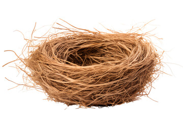 Obraz premium The image shows a bird's nest made of twigs and straw.
