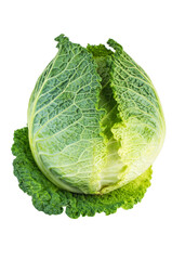 Obraz premium Savoy cabbage isolated on white