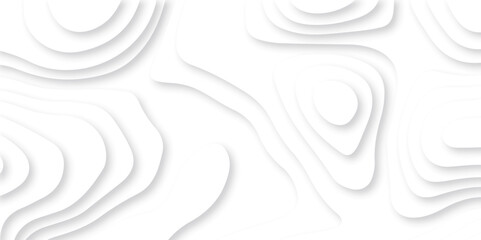 Abstract white paper cut background with lines. Background of the topographic map. White wave paper curved reliefs abstract background. Realistic papercut decoration textured with wavy layers.