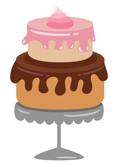 Sweet strawberry and chocolate cake exposed