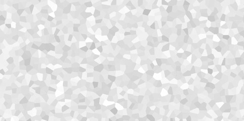 White floor mosaic design terrazo design abstract vector 