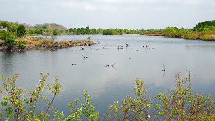 natural coconut beach near kampot