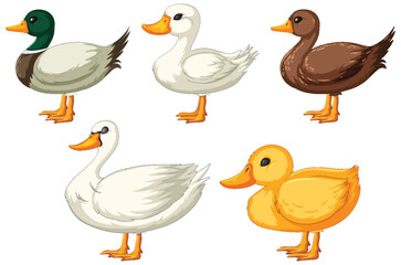 Five different styled cartoon ducks standing.