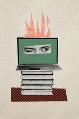Vertical photo collage of broke burn macbook device frown eyes inside problem book stack education...