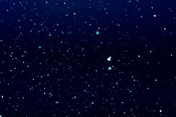 Natural blue and white snow particles in the air on black background. Space for text