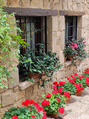 Flowers in the window