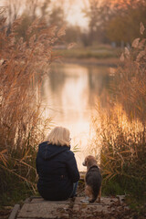 old beagle dog sitting next to a lake with a woman in a park in autumn seen from the back