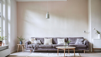 Apartment living room gray sofa
