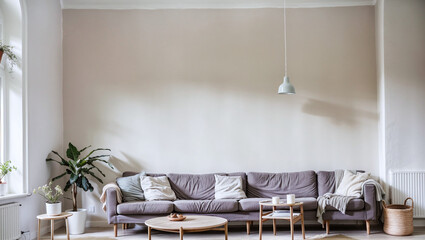 Apartment living room gray sofa