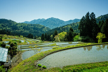 滋賀県高島市の畑地区の初夏の棚田です