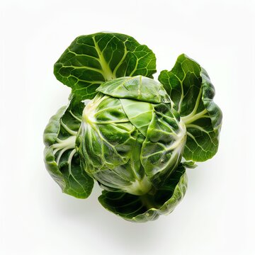 A single brussels sprout on a white background.