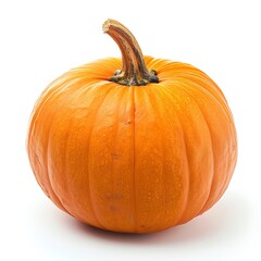 A pumpkin is a gourd-like fruit that is round, orange, and has a hard shell. It is a popular symbol of the fall season and is often used in decorations and food.