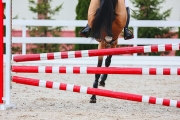 Horse Jumping, Equestrian Sports, Show Jumping themed photo. Macro. Red and white hurdle. Bay horse...